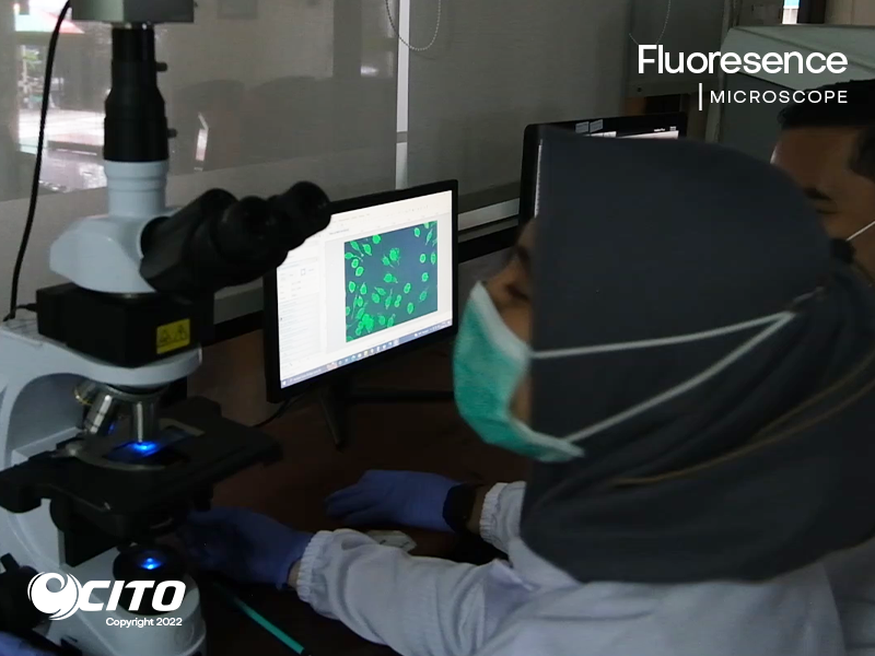Mikroskop Fluoresence